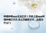 哔哩哔哩app无法打开（手机上的app哔哩哔哩打不开,怎么点都按不开…这是为什么?）