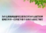 为什么其他网站都可以紧急打开为什么魔兽世界官网打不开一打开就下载个文件什么的完了再打