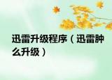 迅雷升级程序（迅雷肿么升级）