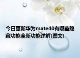 今日更新华为mate40有哪些隐藏功能全新功能详解(图文)