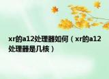 xr的a12处理器如何（xr的a12处理器是几核）