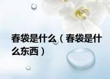 春袋是什么（春袋是什么东西）