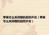 苹果怎么关闭相机拍照声音（苹果怎么关闭相机拍照声音）