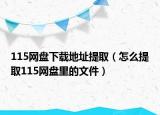 115网盘下载地址提取（怎么提取115网盘里的文件）