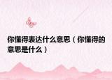 你懂得表达什么意思（你懂得的意思是什么）