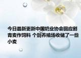 今日最新更新中国奶业协会回应割青麦作饲料 个别养殖场收储了一些小麦