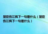 楚臣伤江枫下一句是什么（楚臣伤江枫下一句是什么）