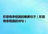 形容有幸相遇的唯美句子（形容有幸相遇的诗句）