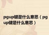 pgup键是什么意思（pgup键是什么意思）