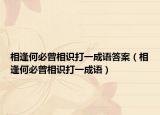 相逢何必曾相识打一成语答案（相逢何必曾相识打一成语）