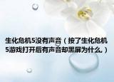 生化危机5没有声音（按了生化危机5游戏打开后有声音却黑屏为什么,）