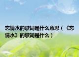 忘情水的歌词是什么意思（《忘情水》的歌词是什么）