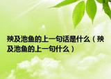 殃及池鱼的上一句话是什么（殃及池鱼的上一句什么）