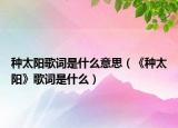 种太阳歌词是什么意思（《种太阳》歌词是什么）