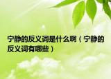 宁静的反义词是什么啊（宁静的反义词有哪些）