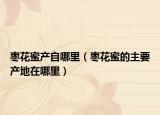 枣花蜜产自哪里（枣花蜜的主要产地在哪里）