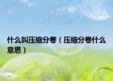 什么叫压缩分卷（压缩分卷什么意思）