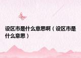 设区市是什么意思啊（设区市是什么意思）
