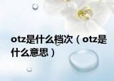 otz是什么档次（otz是什么意思）