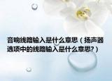 音响线路输入是什么意思（扬声器选项中的线路输入是什么意思?）