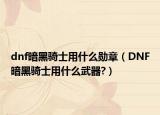 dnf暗黑骑士用什么勋章（DNF暗黑骑士用什么武器?）