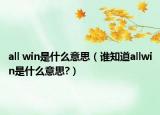 all win是什么意思（谁知道allwin是什么意思?）