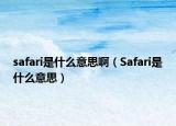 safari是什么意思啊（Safari是什么意思）