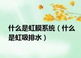什么是虹膜系统（什么是虹吸排水）