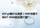 dnf gt是什么意思（DNF中那个叫GT-9600的在哪个图?）