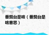 番茄台是啥（番茄台是啥意思）