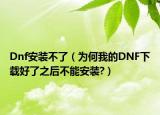 Dnf安装不了（为何我的DNF下载好了之后不能安装?）