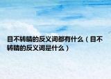 目不转睛的反义词都有什么（目不转睛的反义词是什么）