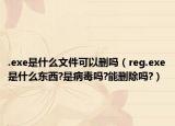 .exe是什么文件可以删吗（reg.exe是什么东西?是病毒吗?能删除吗?）