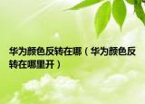 华为颜色反转在哪（华为颜色反转在哪里开）