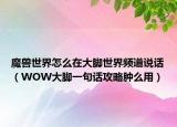魔兽世界怎么在大脚世界频道说话（WOW大脚一句话攻略肿么用）