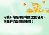 向我开炮是哪部电影里的台词（向我开炮是哪部电影）