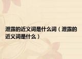 泄露的近义词是什么词（泄露的近义词是什么）