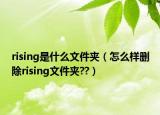 rising是什么文件夹（怎么样删除rising文件夹??）