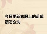 今日更新衣服上的蓝莓渍怎么洗