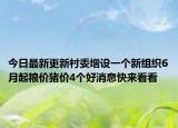 今日最新更新村委增设一个新组织6月起粮价猪价4个好消息快来看看