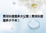 黄河长度是多少公里（黄河长度是多少千米）
