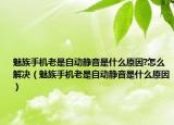 魅族手机老是自动静音是什么原因?怎么解决（魅族手机老是自动静音是什么原因）