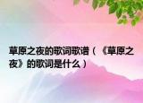 草原之夜的歌词歌谱（《草原之夜》的歌词是什么）