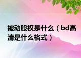 被动股权是什么（bd高清是什么格式）