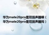 华为mate20pro是双扬声器嘛（华为mate20pro是双扬声器吗）