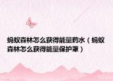 蚂蚁森林怎么获得能量药水（蚂蚁森林怎么获得能量保护罩）