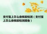 支付宝上怎么查核酸检测（支付宝上怎么查核酸检测报告）