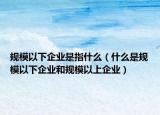 规模以下企业是指什么（什么是规模以下企业和规模以上企业）