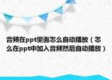 音频在ppt里面怎么自动播放（怎么在ppt中加入音频然后自动播放）