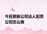 今日更新公司法人犯罪公司怎么做